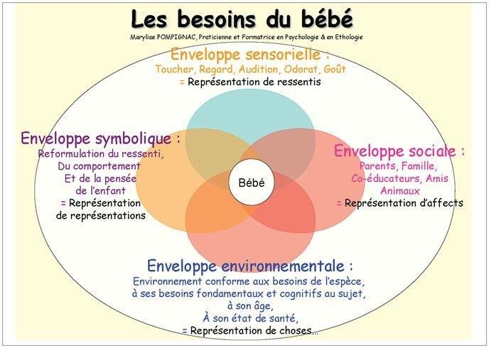 Attachement les besoins du bebe